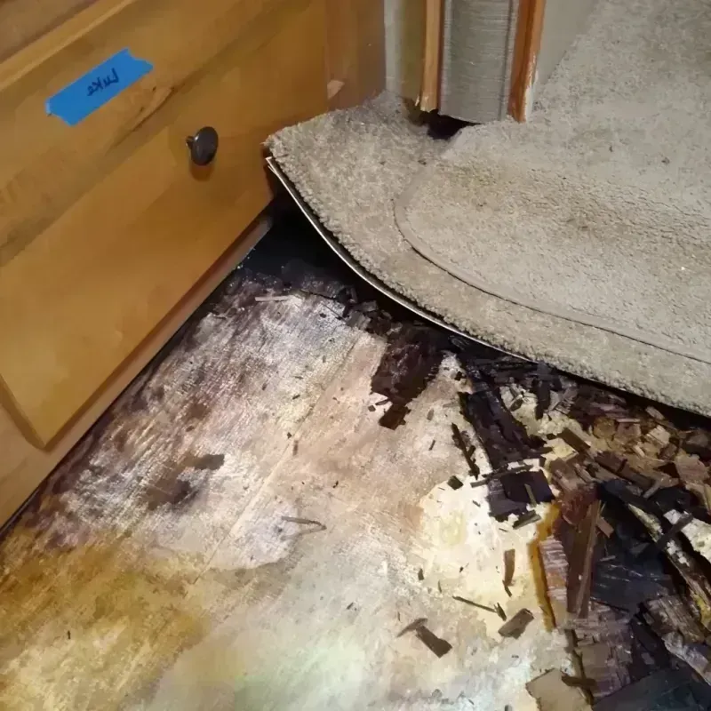 Wood Floor Water Damage in Orion, IL